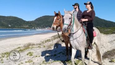 Passeio Diário  à Cavalo em Floripa